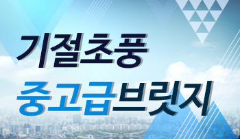 기절초풍 중고급브릿지