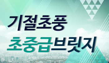 기절초풍 초중급브릿지
